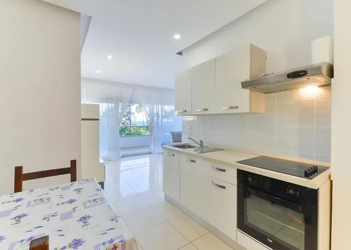 Modern Punta With Sea View- By Ta Leut Agency Daire Privlaka (Zadar)